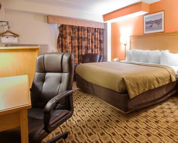 Standard Room, 1 King Bed, Non Smoking