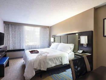 Standard Room, 1 King Bed (High Floor)