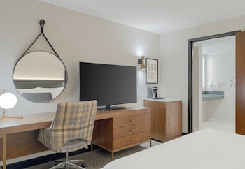 Suite, 1 Bedroom