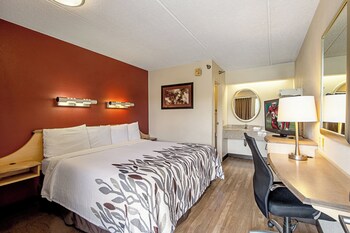 Standard Room, 1 King Bed (Smoke Free)