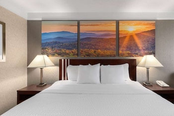Room, 1 King Bed, Non Smoking