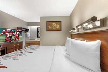 Standard Room, 1 King Bed, Non Smoking