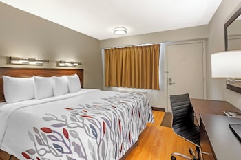 Standard Room, 1 King Bed, Non Smoking