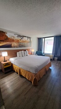 Standard Room, 1 King Bed, Non Smoking