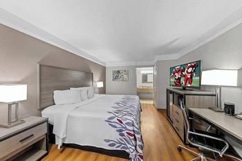 Deluxe Room, 1 King Bed, Accessible, Non Smoking (Roll-In Shower)