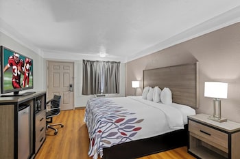 Suite, 1 King Bed, Smoking, Kitchenette