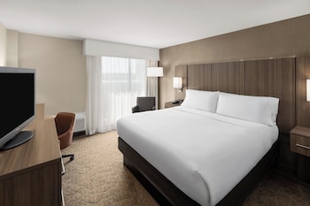 Standard Room, 1 King Bed (Bath/Shower Combo)