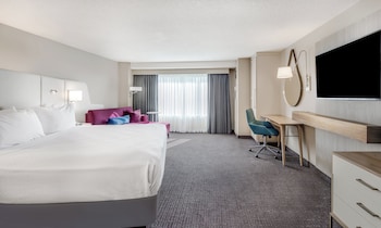 Standard Room, 1 King Bed with Sofa bed