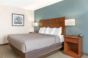 Room, 1 King Bed