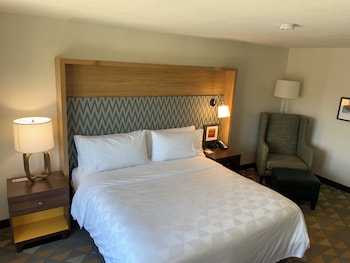 Room, 1 King Bed, Accessible (Communications, Roll-In Shower)