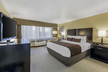 Deluxe Room, 1 King Bed, Non Smoking, Refrigerator & Microwave