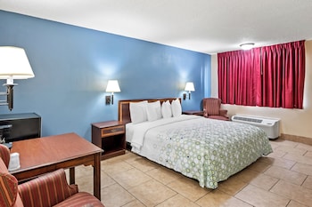 Studio, 1 King Bed, Accessible, Non Smoking