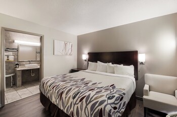 Deluxe Room, 1 King Bed, Accessible, Non Smoking