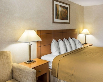 Standard Room, 1 King Bed, Non Smoking