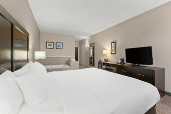 Room, 1 King Bed, Non Smoking, Jetted Tub