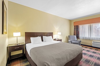 Standard Room, 1 King Bed, Non Smoking