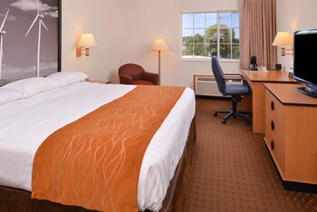 Room, 1 King Bed, Non Smoking