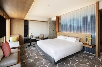 Studio, 1 King Bed, Park View