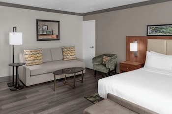 Room, 1 King Bed