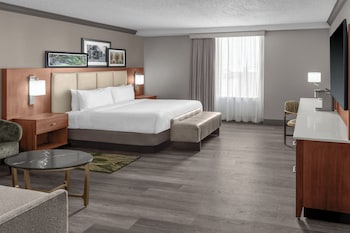 Room, 1 King Bed