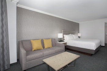 Standard Room, 1 King Bed with Sofa bed
