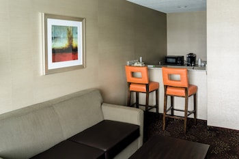 Suite, 1 King Bed (Additional Living Area)