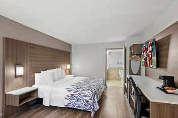 Superior Room, 1 King Bed, Non Smoking