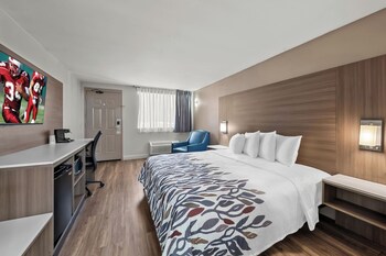 Superior Room, 1 King Bed, Non Smoking