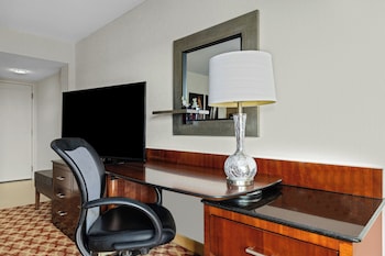 Room, 1 King Bed (Mobility Accessible, Roll-In Shower)