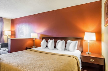 Room, 1 King Bed, Accessible, Non Smoking