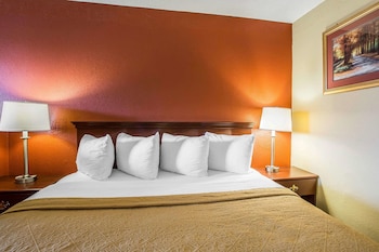 Room, 1 King Bed, Accessible, Non Smoking