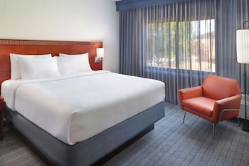 Executive Suite, 1 King Bed with Sofa bed