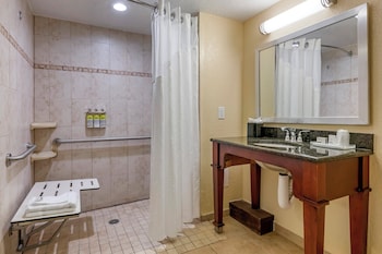Standard Room, 2 Queen Beds, Roll-in Shower (Communications, Roll-In Shower)