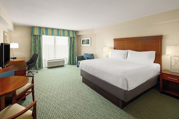 Standard Room, 1 King Bed, Roll-in Shower (Communications, Roll-In Shower)