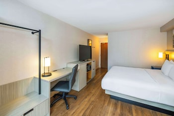 Comfort Care, Room, 1 King Bed with Sofa bed, Non Smoking