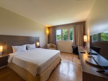 Superior Room, 1 Double Bed