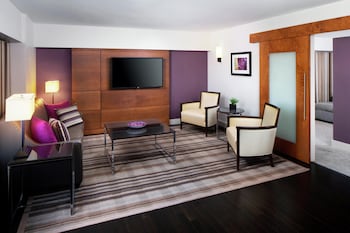 Suite, 1 King Bed, Accessible (Roll-In Shower)