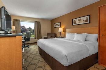 Standard Room, 1 Queen Bed, Non Smoking (2nd Floor)