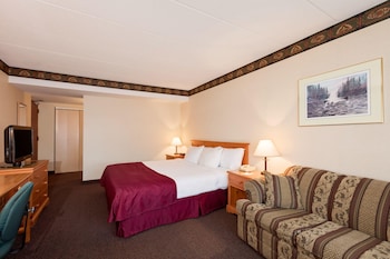 Room, 1 King Bed with Sofa bed, Non Smoking (Lower Level)