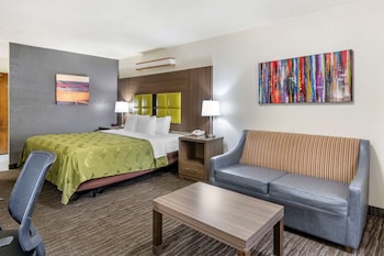 Room, 1 King Bed with Sofa bed, Accessible, Non Smoking (Accessible Tub)