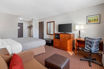 Business Room, 1 King Bed, Non Smoking