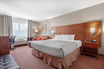 Business Room, 1 King Bed, Non Smoking