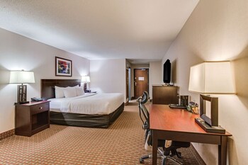 Standard Room, 1 King Bed, Non Smoking