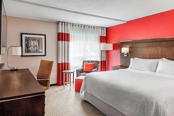 Room, 1 King Bed