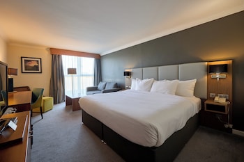 Standard Room, 1 King Bed with Sofa bed