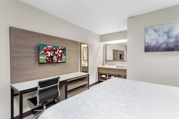 Standard Room, 1 King Bed, Accessible, Non Smoking