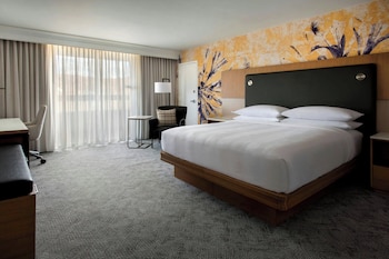 Club Room, 1 King Bed