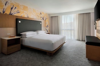 Room, 1 King Bed