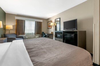Standard Room, 1 King Bed, Non Smoking