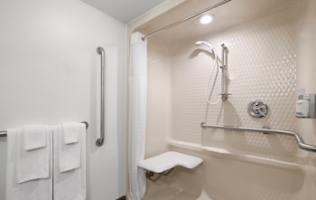 Suite, 1 Bedroom, Accessible (Communication,  Accessible Shwr)